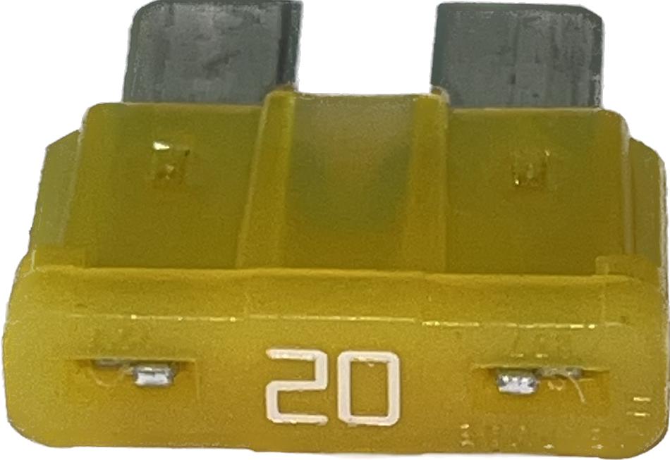 Maruti Fuse