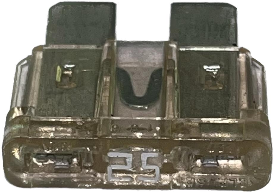 Maruti Fuse
