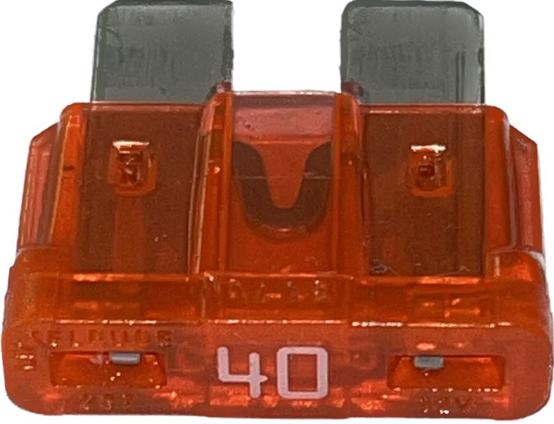 Maruti Fuse